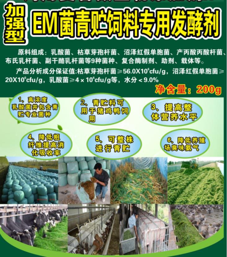 1701395143800649.jpg 1701395143800649.jpg