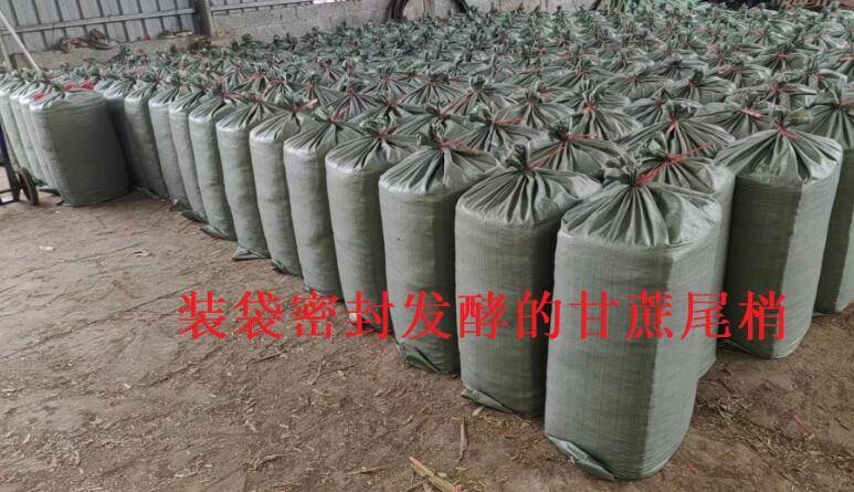 微信圖片_20241115102740.jpg 微信圖片_20241115102740.jpg