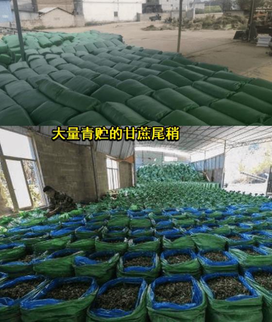 微信截圖_20241115102725.jpg 微信截圖_20241115102725.jpg