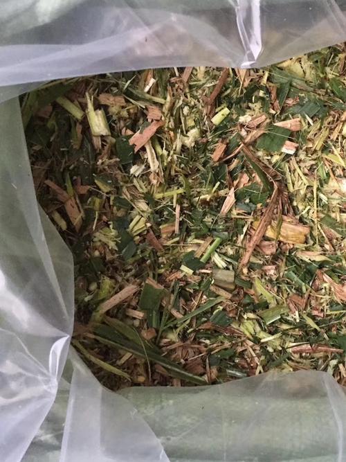 微信圖片_20241115102732.jpg 微信圖片_20241115102732.jpg