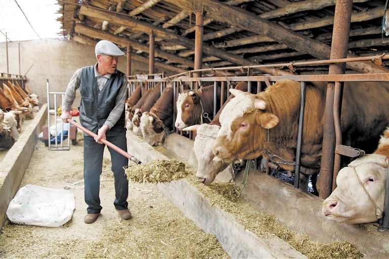 微信圖片_20241115102749.jpg 微信圖片_20241115102749.jpg