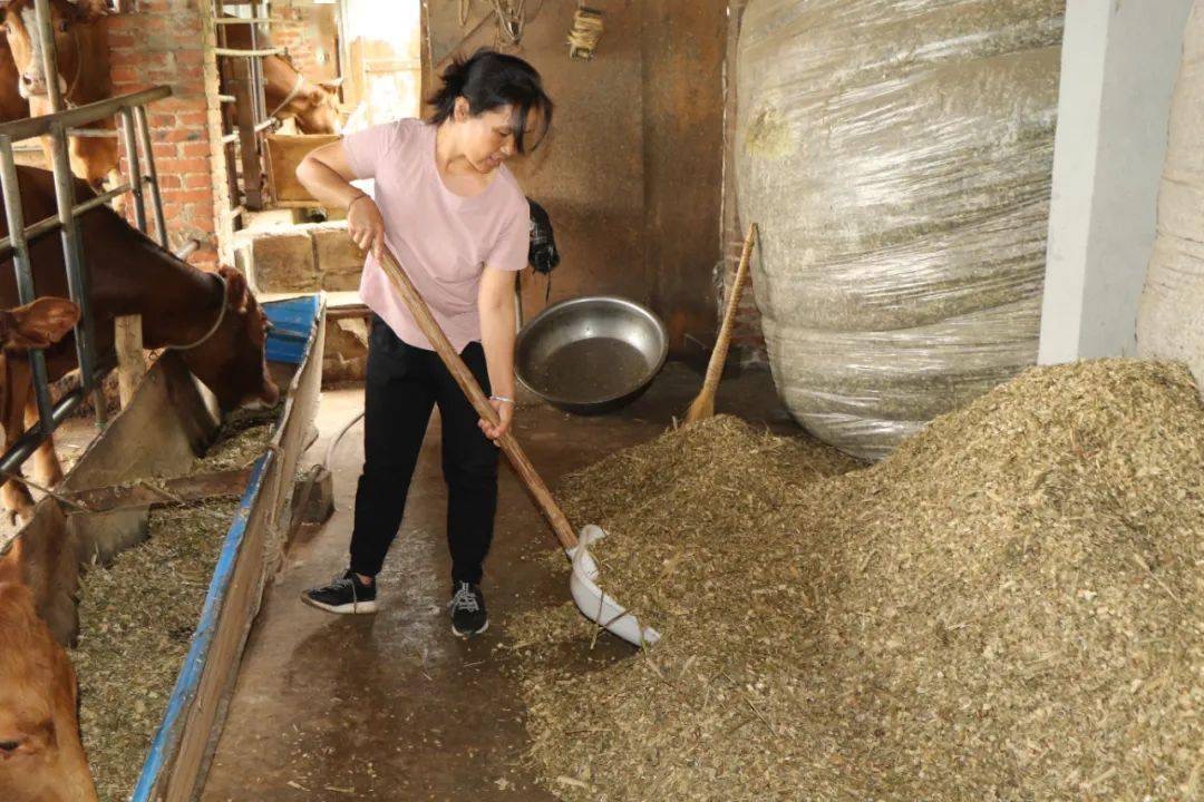 微信圖片_20241115102746.jpg 微信圖片_20241115102746.jpg