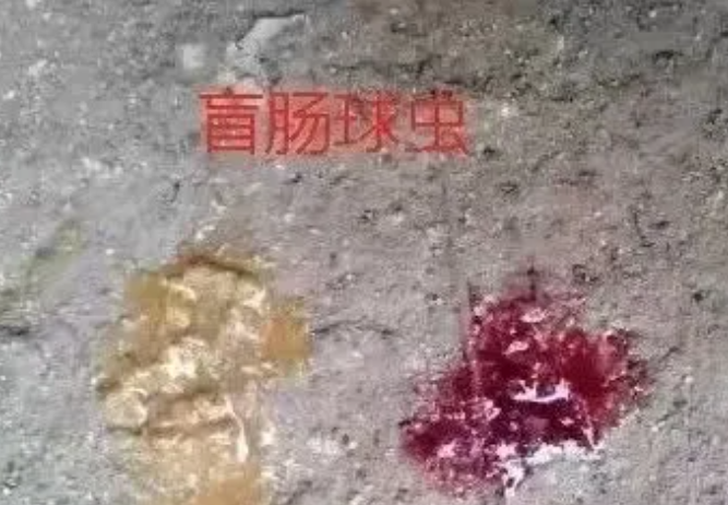 QQ瀏覽器截圖20241115105821.png QQ瀏覽器截圖20241115105821.png