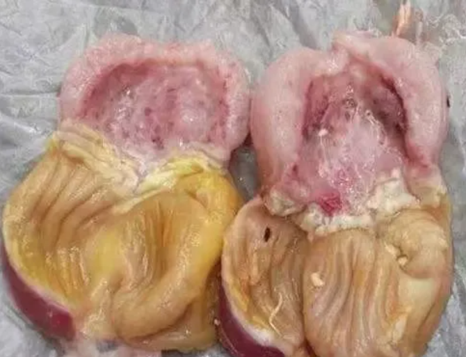 QQ瀏覽器截圖20241115110200.png QQ瀏覽器截圖20241115110200.png