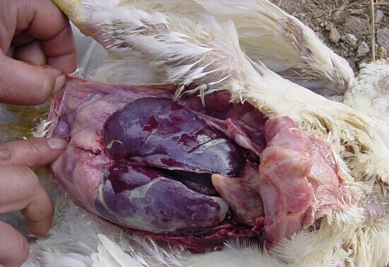 微信圖片_20241118095954.jpg 微信圖片_20241118095954.jpg