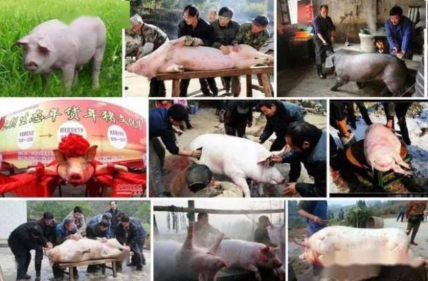 微信截圖_20241118123017.jpg 微信截圖_20241118123017.jpg