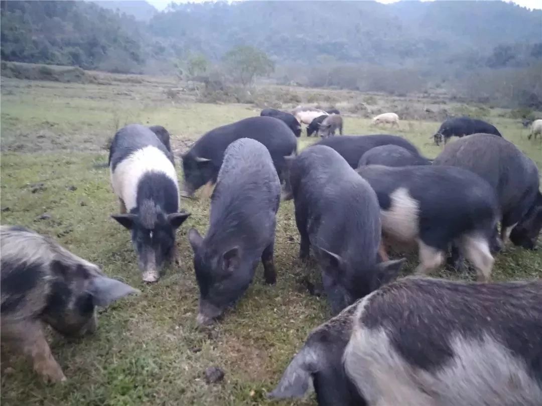 微信圖片_20241118122740.jpg 微信圖片_20241118122740.jpg