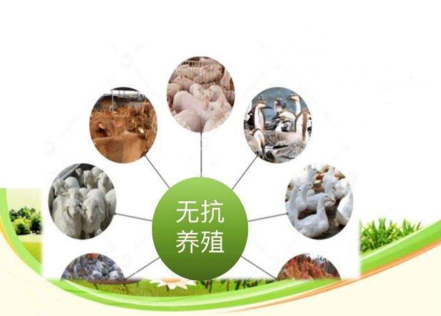 微信截圖_20241118122804.jpg 微信截圖_20241118122804.jpg