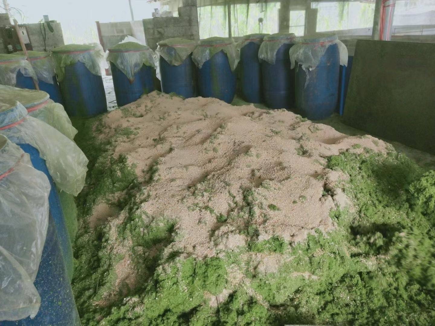 微信圖片_20241118122838.jpg 微信圖片_20241118122838.jpg