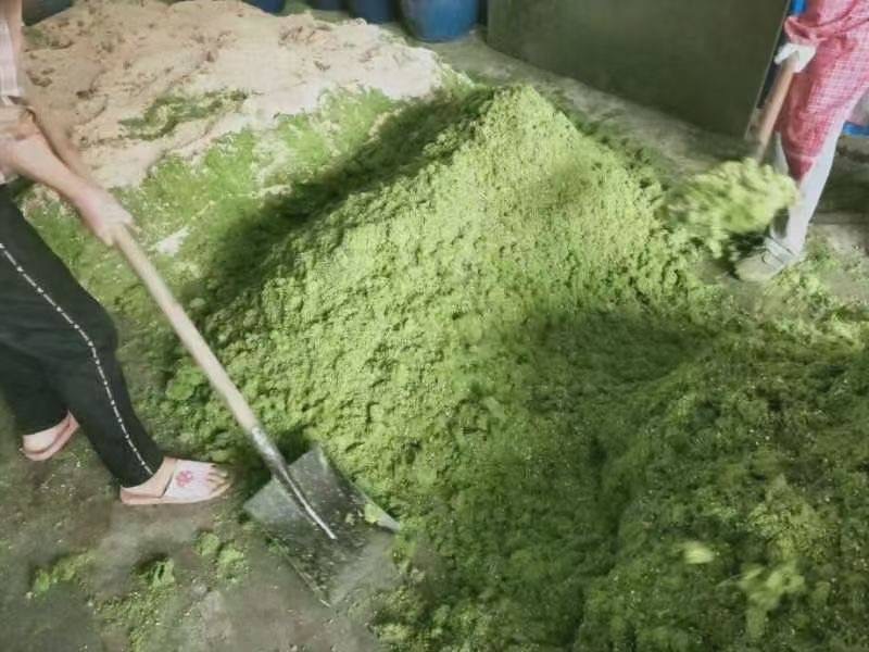 微信圖片_20241118122845.jpg 微信圖片_20241118122845.jpg