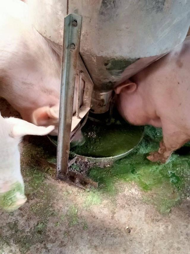 微信圖片_20241118122809.jpg 微信圖片_20241118122809.jpg