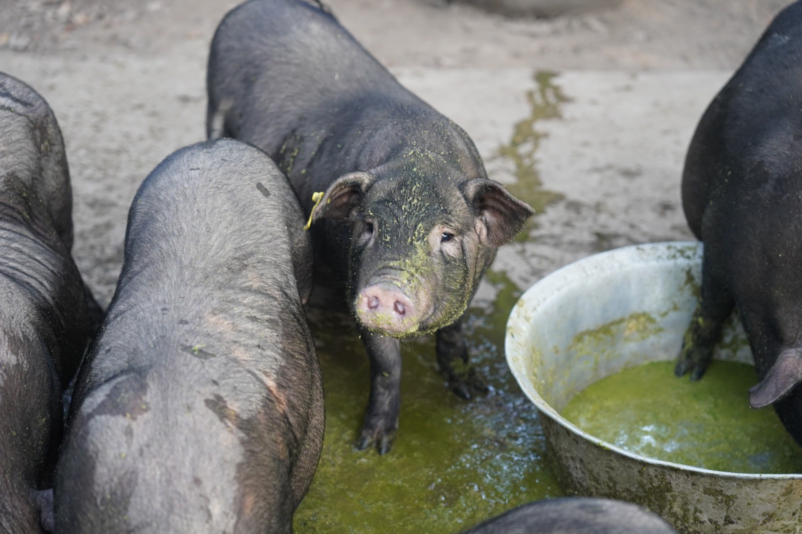 微信圖片_20241118122841.jpg 微信圖片_20241118122841.jpg