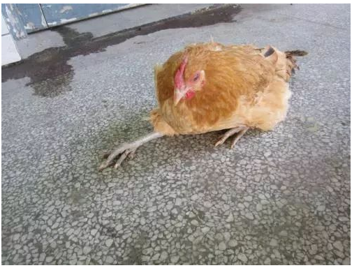 QQ瀏覽器截圖20241119105322.png QQ瀏覽器截圖20241119105322.png