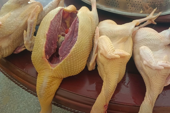 E03402373A7491296CBB6A9C7684B156.jpg E03402373A7491296CBB6A9C7684B156.jpg