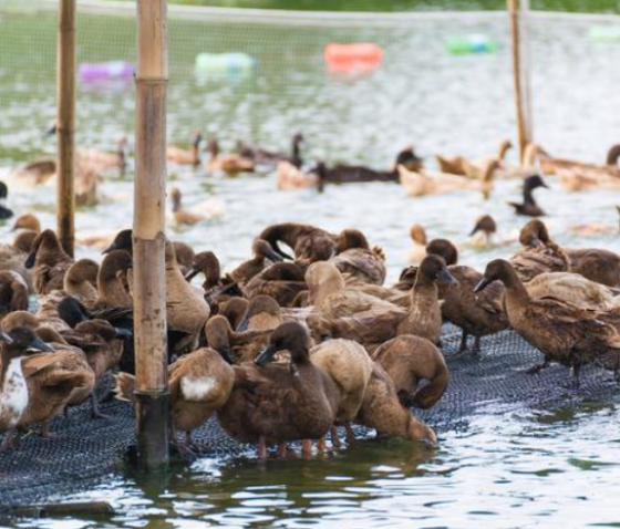 88282CA67083614F47D03F197808BD75.png 88282CA67083614F47D03F197808BD75.png