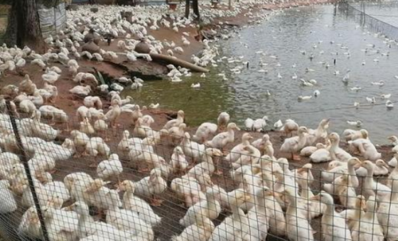 8F06F3A6A6CDECCB34C97C15BD5B52E2.png 8F06F3A6A6CDECCB34C97C15BD5B52E2.png