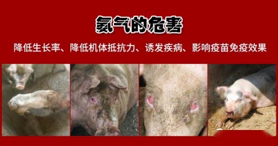 微信圖片_20241122105947.jpg 微信圖片_20241122105947.jpg