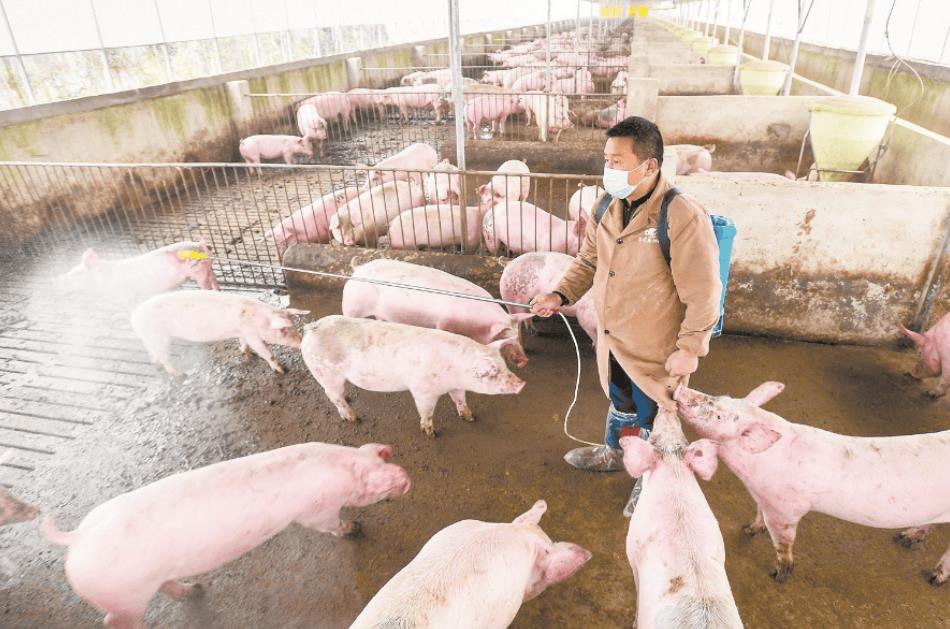 微信截圖_20241122105941.jpg 微信截圖_20241122105941.jpg