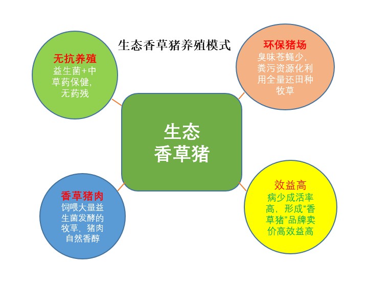 生態(tài)香草豬養(yǎng)殖模式.jpg 生態(tài)香草豬養(yǎng)殖模式.jpg