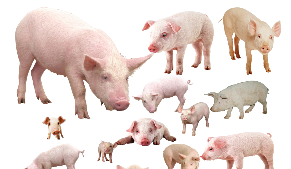 QQ瀏覽器截圖20241128101659.png QQ瀏覽器截圖20241128101659.png