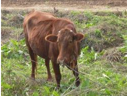 QQ圖片20241128111150.png QQ圖片20241128111150.png