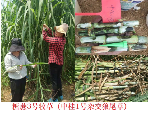 BFDC16637FC511F19DA899F3C7FFAE2E.png BFDC16637FC511F19DA899F3C7FFAE2E.png