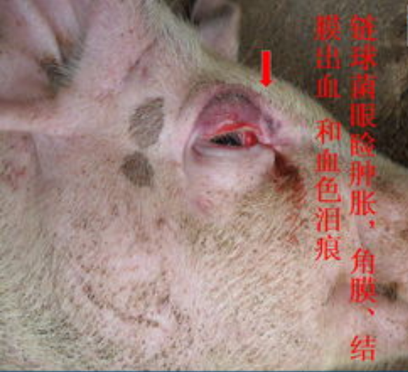 QQ瀏覽器截圖20241129094432.png QQ瀏覽器截圖20241129094432.png