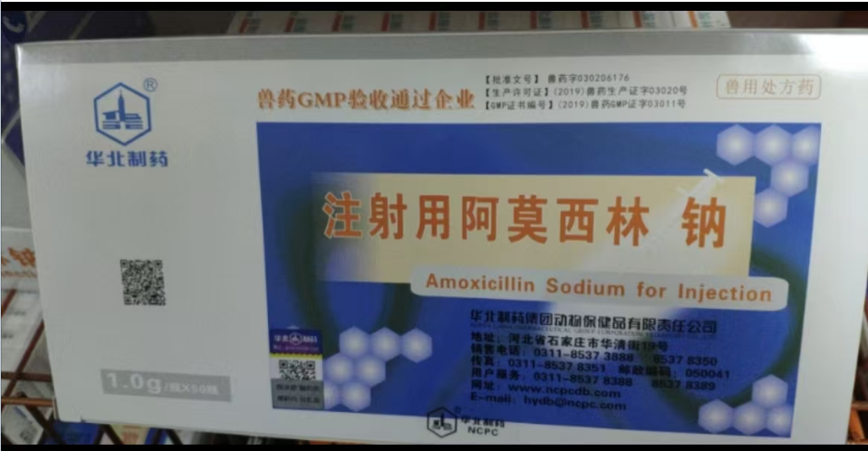 QQ瀏覽器截圖20241129095015.png QQ瀏覽器截圖20241129095015.png