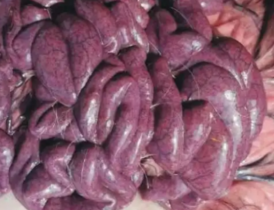 BF33E4F08123A757E6E10AFA9C569B29.png BF33E4F08123A757E6E10AFA9C569B29.png