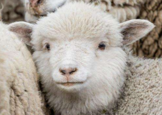 28F1EF8F57EFABF75CD8E455AB18FDDA.png 28F1EF8F57EFABF75CD8E455AB18FDDA.png