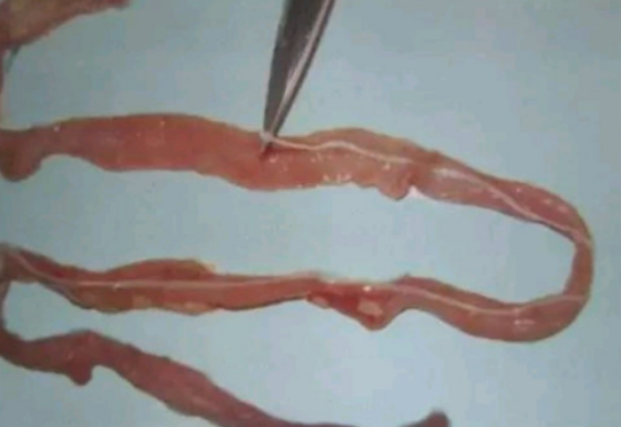 16B8B4BAE4C84DEFB19C780FEB73FD04.png 16B8B4BAE4C84DEFB19C780FEB73FD04.png