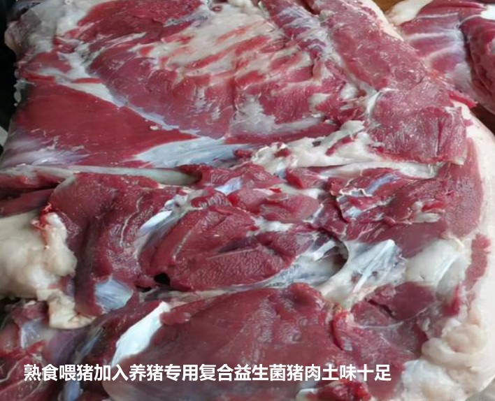 熟食喂豬加入養(yǎng)豬專用復(fù)合益生菌豬肉土味十足.jpg 熟食喂豬加入養(yǎng)豬專用復(fù)合益生菌豬肉土味十足.jpg
