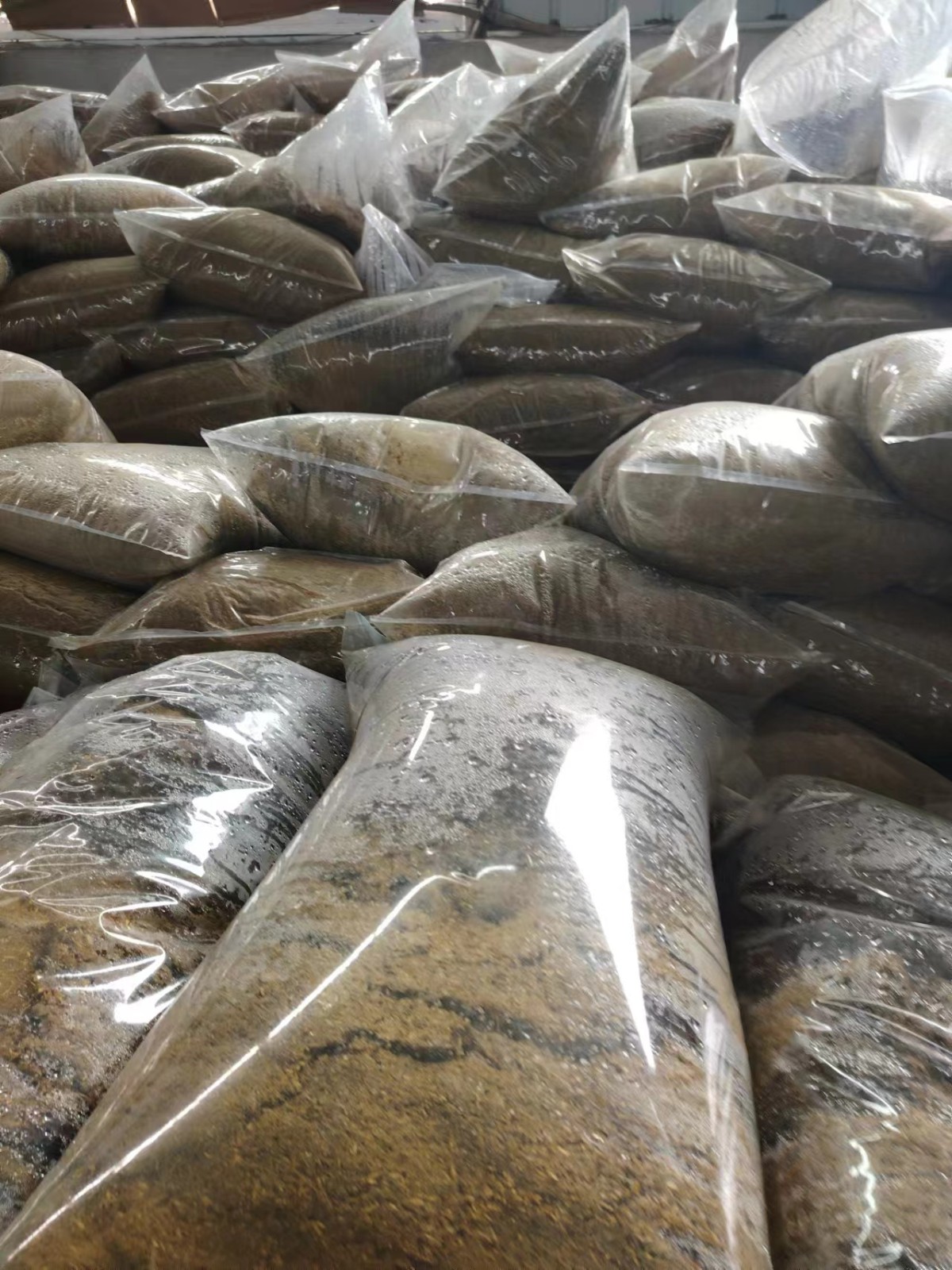 微信圖片_20241206101259.jpg 微信圖片_20241206101259.jpg