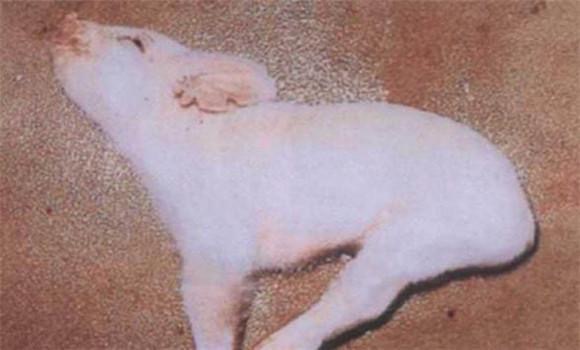 微信圖片_20241209150646.jpg 微信圖片_20241209150646.jpg