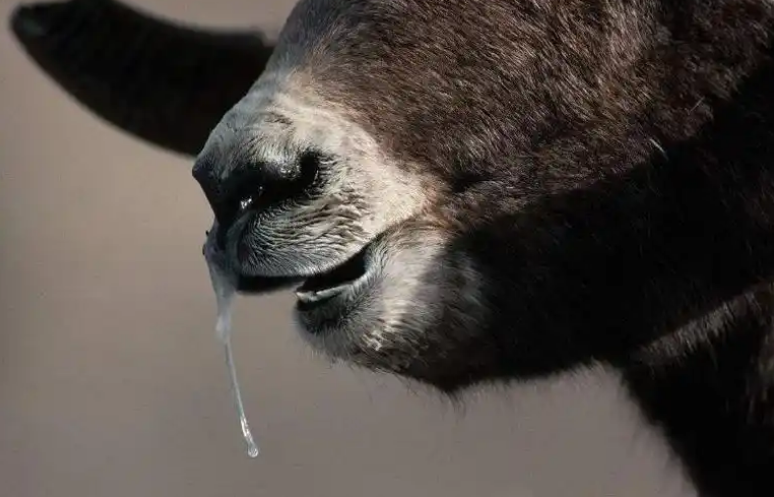 QQ圖片20241216100708.png QQ圖片20241216100708.png