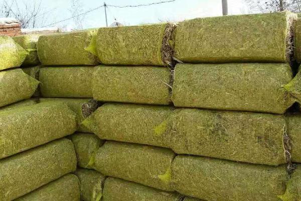 青儲飼料的制作方法，要用什么