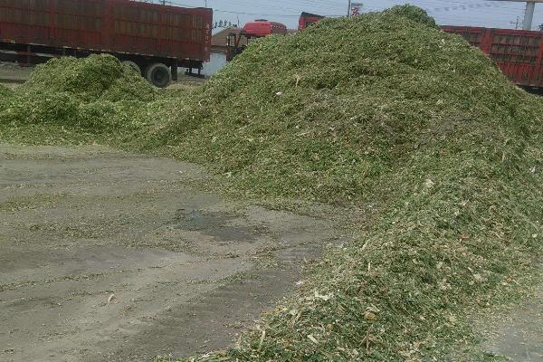 青儲飼料的制作方法，要用什么