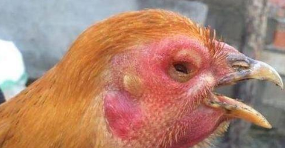 1330D74E1D280BA6208554DC881C01EC.png 1330D74E1D280BA6208554DC881C01EC.png