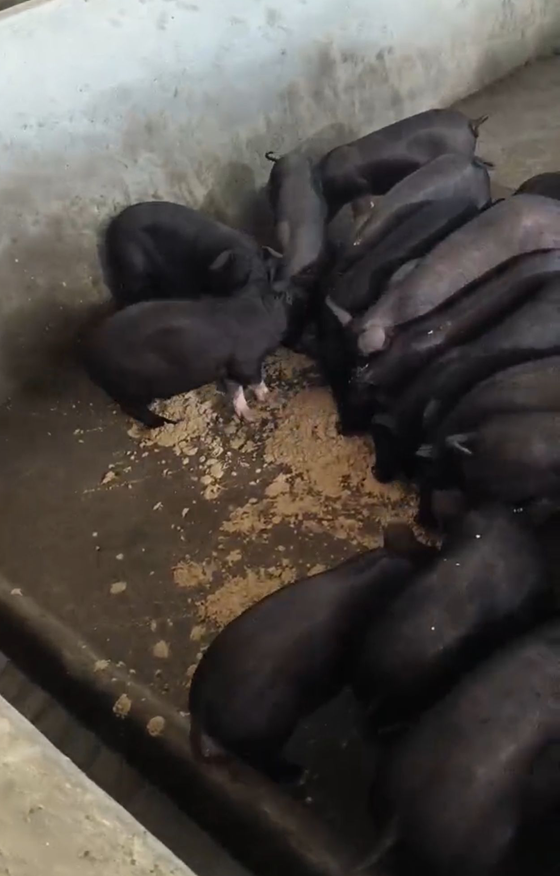 7B01FFC046AA999A537C66A6D29FEF1E.png 7B01FFC046AA999A537C66A6D29FEF1E.png