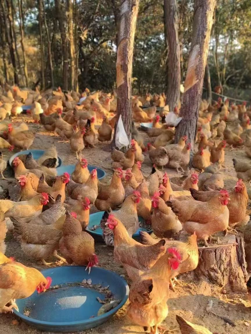 微信圖片_20241218113438.jpg 微信圖片_20241218113438.jpg