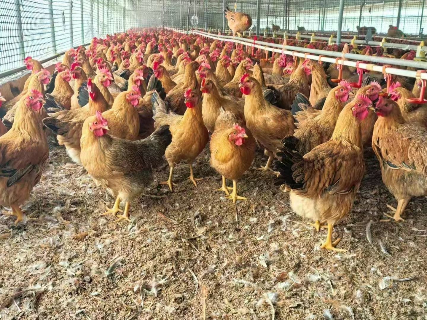 微信圖片_20241218113434.jpg 微信圖片_20241218113434.jpg