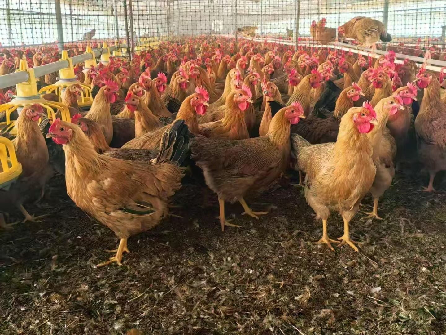 微信圖片_20241218113430.jpg 微信圖片_20241218113430.jpg