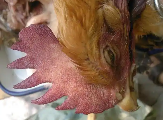 B605548F9962DD4C319CC91C0E1BA02B.png B605548F9962DD4C319CC91C0E1BA02B.png