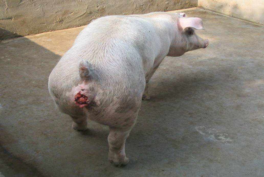 微信圖片_20241220094306.jpg 微信圖片_20241220094306.jpg