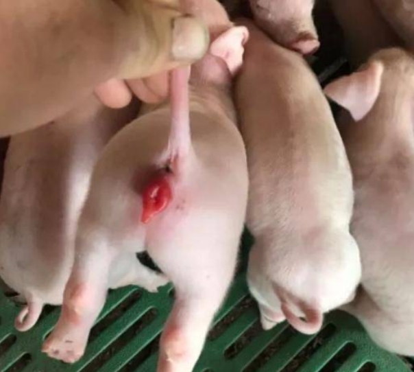 微信截圖_20241220094324.jpg 微信截圖_20241220094324.jpg