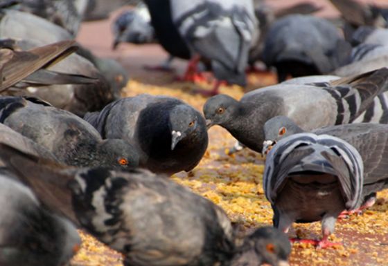 2265B48CA46C2D3DD430466FDFA9B9B3.png 2265B48CA46C2D3DD430466FDFA9B9B3.png