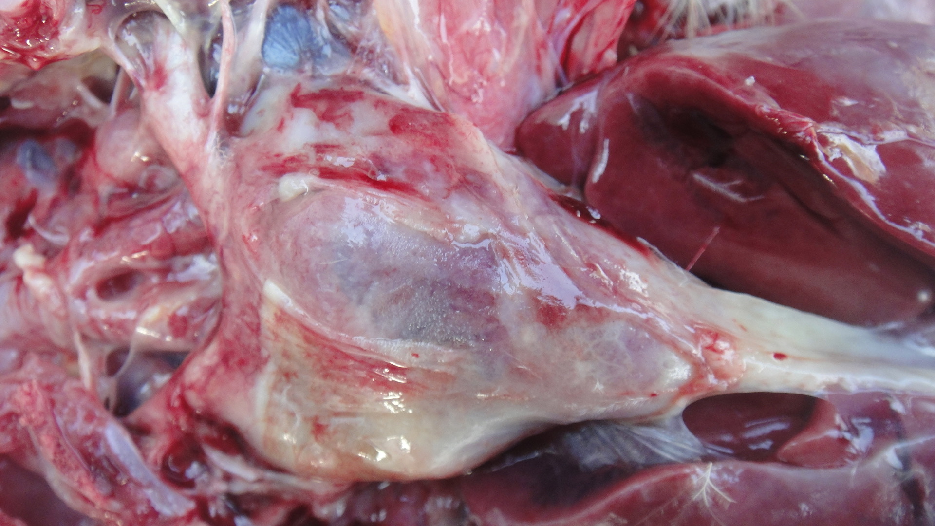 微信圖片_20241226113757.jpg 微信圖片_20241226113757.jpg