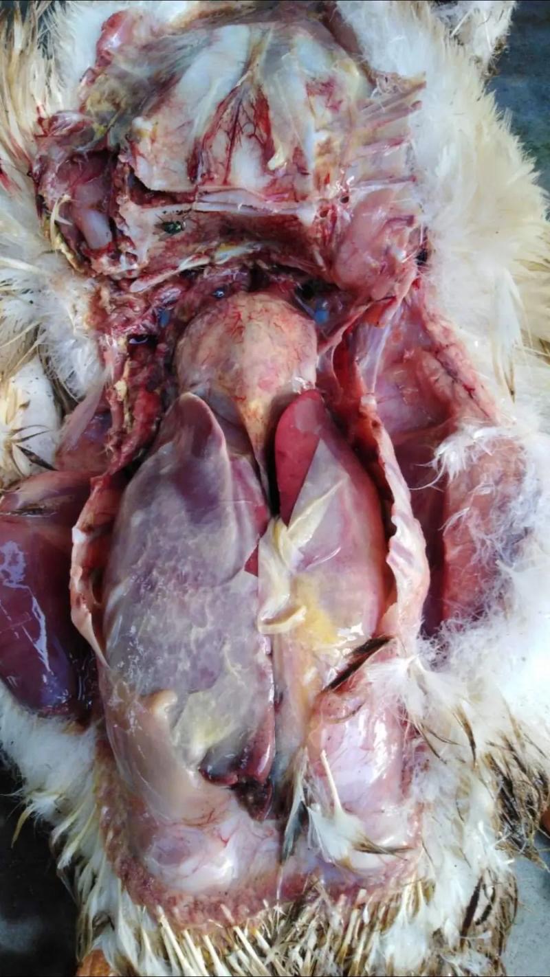 微信圖片_20241226113753.jpg 微信圖片_20241226113753.jpg