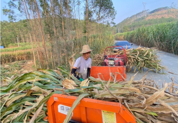 微信截圖_20241226165557.jpg 微信截圖_20241226165557.jpg