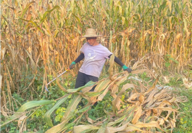 微信截圖_20241226165537.jpg 微信截圖_20241226165537.jpg